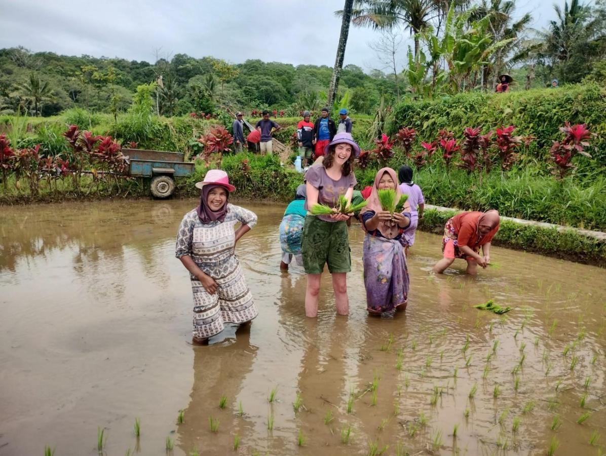 Girang Rinjani Bungalows 테테바투 외부 사진