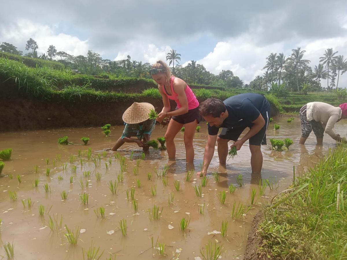 Girang Rinjani Bungalows 테테바투 외부 사진