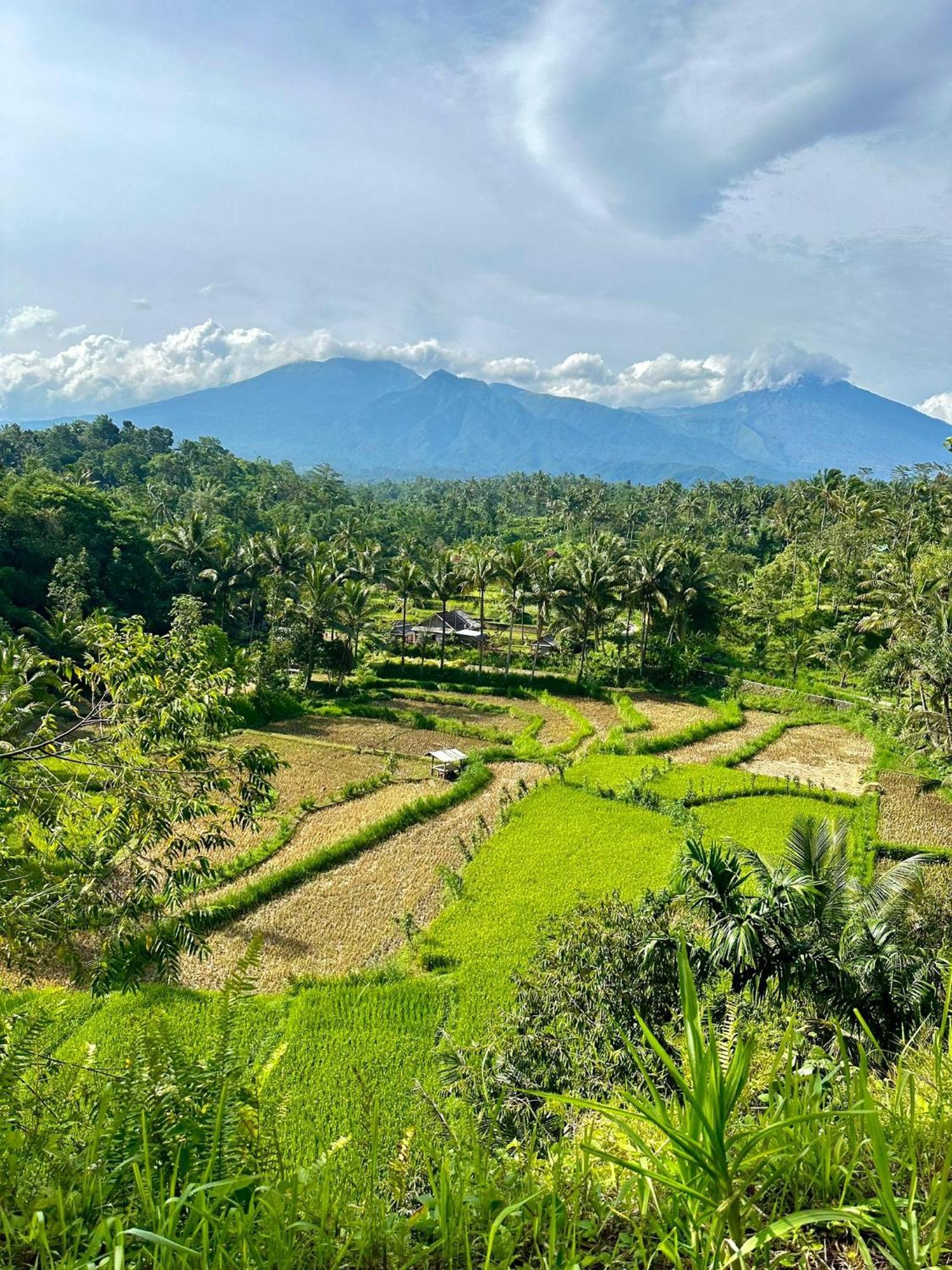 Girang Rinjani Bungalows 테테바투 외부 사진