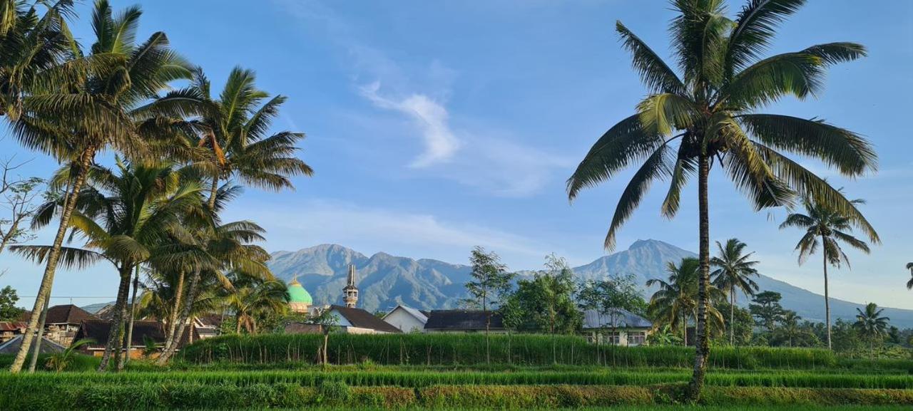 Girang Rinjani Bungalows 테테바투 외부 사진
