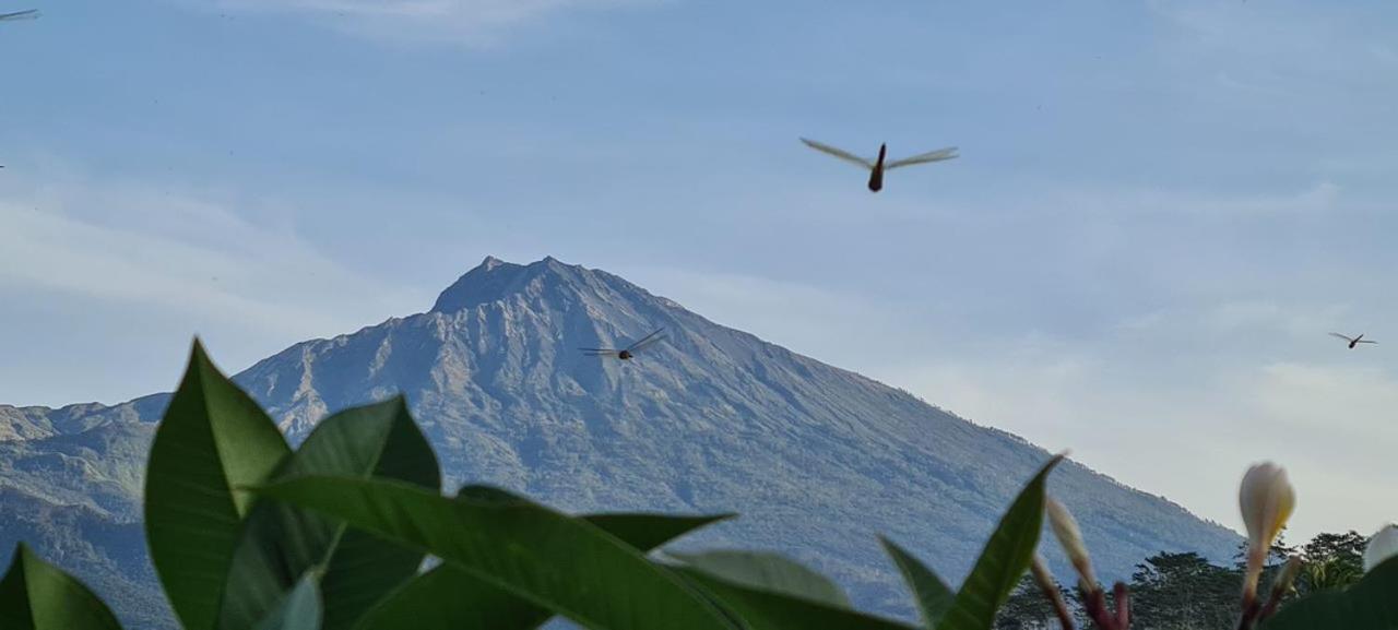 Girang Rinjani Bungalows 테테바투 외부 사진