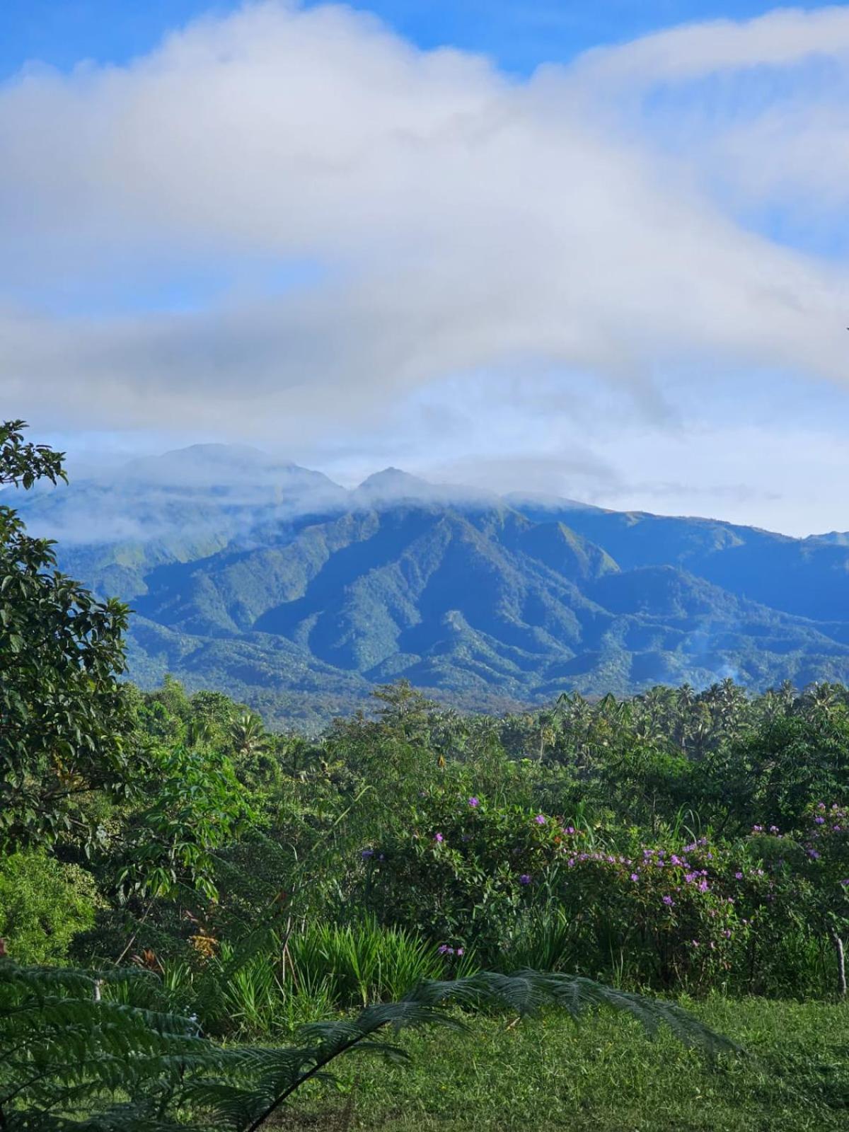 Girang Rinjani Bungalows 테테바투 외부 사진