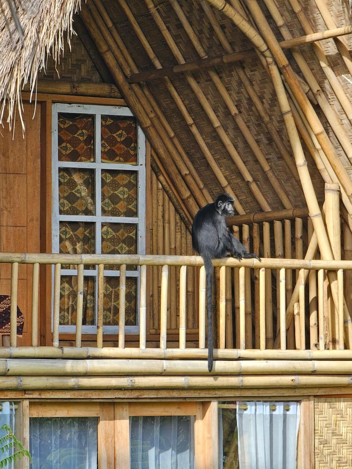 Girang Rinjani Bungalows 테테바투 외부 사진